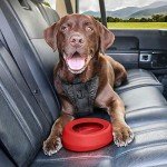 Kurgo No Spill Dog Travel Water Bowl, 24 Oz