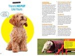 Dog Training Made Easy: Speak Dog Guide