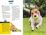 Dog Training Made Easy: Speak Dog Guide