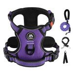 IVY&LANE Adjustable No Pull Harness for Small Dogs