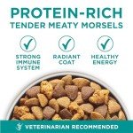 Purina One Digestive Health Dry Dog Food 31.1 Lb