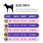 IVY&LANE Adjustable No Pull Harness for Small Dogs