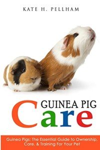 Guinea Pig Care: Complete Ownership and Training Guide