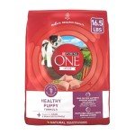 Purina ONE Healthy High Protein Puppy Food 16.5 lb