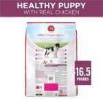 Purina ONE Healthy High Protein Puppy Food 16.5 lb