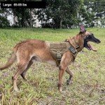 Heavy-Duty Tactical Dog Harness with Handle