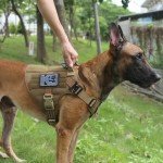 Heavy-Duty Tactical Dog Harness with Handle