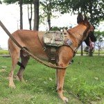 Heavy-Duty Tactical Dog Harness with Handle