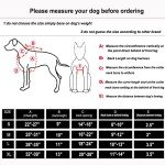 Heavy-Duty Tactical Dog Harness with Handle