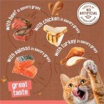 Friskies Extra Gravy Wet Cat Food Variety Pack
