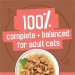 Friskies Extra Gravy Wet Cat Food Variety Pack