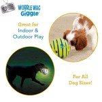 Wobble Wag Giggle Ball Set - Interactive Dog Toys