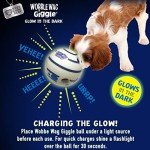 Wobble Wag Giggle Ball Set - Interactive Dog Toys