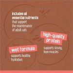 Friskies Extra Gravy Wet Cat Food Variety Pack