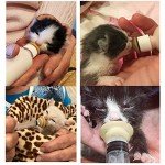 Pet Nursing Bottle Kit for Kittens and Puppies