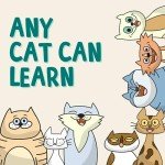 Cat Training Kit: Clicker, Target Stick & Guide