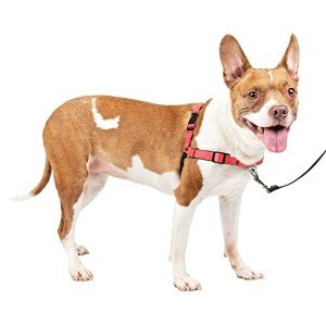 PetSafe Deluxe No Pull Dog Harness, Medium Rose