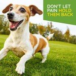 T-Relief Pet Arthritis Pain Relief for Dogs & Cats