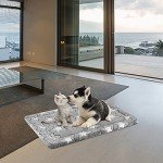 Reversible Dog Bed Mat - Cool & Warm
