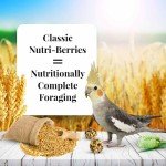 LAFEBER'S Nutri-Berries Bird Food for Cockatiels