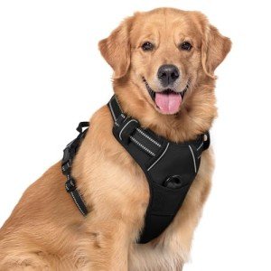 Rabbitgoo No Pull Dog Harness for Large Dogs