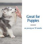 PetArmor De-Wormer for Small Dogs & Puppies