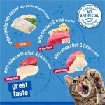 Friskies Oceans of Delight Wet Cat Food Pack