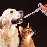 Pet Pill Plunger for Cats and Dogs - 2 Pack