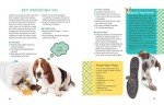 Kid's Guide to Caring for Your Dog
