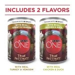 Purina ONE True Instinct High Protein Wet Dog Food