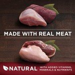 Purina ONE True Instinct High Protein Wet Dog Food