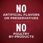 Purina ONE True Instinct High Protein Wet Dog Food