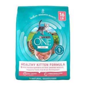 Purina ONE Natural High Protein Kitten Food 16 lb