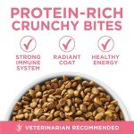 Purina ONE Natural High Protein Kitten Food 16 lb