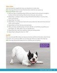 Dog Training Guide: From Puppies to Progress