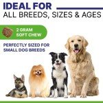 Pawsential Allergy Relief Chews for Dogs - 120ct