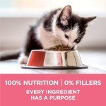 Purina ONE Natural High Protein Kitten Food 16 lb