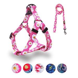 Adjustable No-Pull Dog Harness and Leash Set