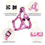 Adjustable No-Pull Dog Harness and Leash Set