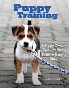 Puppy Training Guide: Positive Tips and Techniques