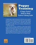 Puppy Training Guide: Positive Tips and Techniques