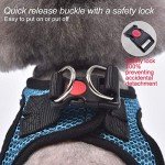 Step-In Breathable Dog Harness for Small Dogs
