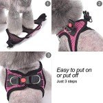 Step-In Breathable Dog Harness for Small Dogs