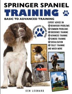 Springer Spaniel Training: From Basics to Advanced