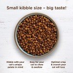 Rachael Ray Nutrish Natural Cat Food, Chicken & Rice