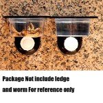 100pcs Feeding Cups for Crested Geckos