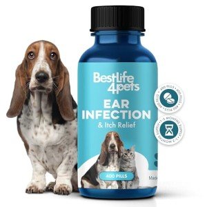 Natural Itch Relief & Ear Infection Treatment for Pets
