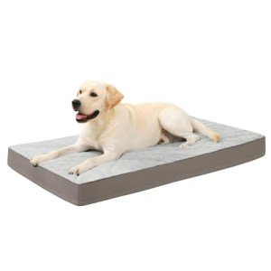 Plush Orthopedic Dog Bed with Removable Cover, Gray