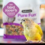 ZuPreem Pure Fun Bird Food for Medium Large Birds