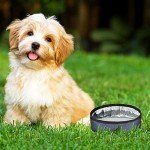Portable Collapsible Dog Bowls - Travel Set
